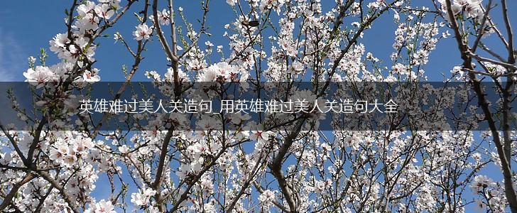 英雄难过美人关造句_用英雄难过美人关造句大全,第1张 英雄难过美人关造句_用英雄难过美人关造句大全,第1张
