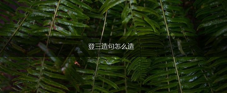 登三造句怎么造,第1张