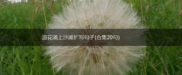 浪花涌上沙滩扩写句子(合集20句),第1张