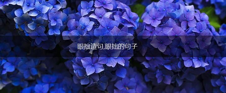 眼拙造句,眼拙的句子,第1张 眼拙造句,眼拙的句子,第1张