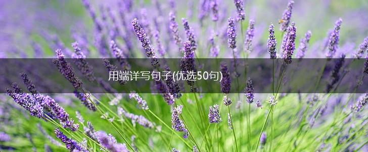 用端详写句子(优选50句),第1张