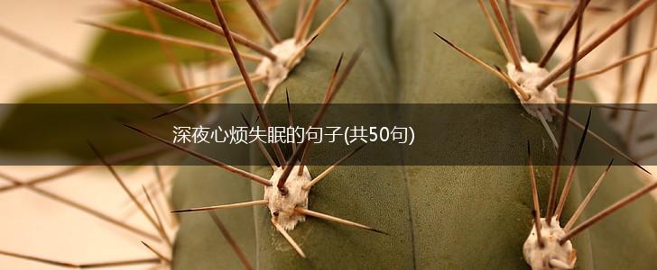 深夜心烦失眠的句子(共50句),第1张