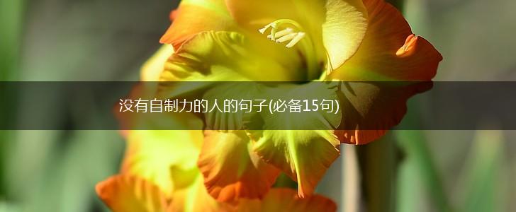 没有自制力的人的句子(必备15句),第1张