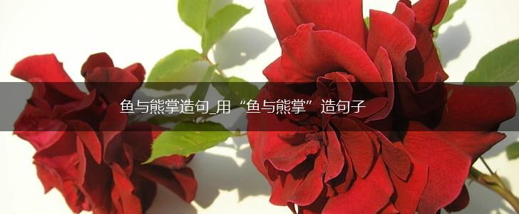 鱼与熊掌造句_用“鱼与熊掌”造句子,第1张 鱼与熊掌造句_用“鱼与熊掌”造句子,第1张
