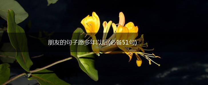 朋友的句子愿多年以后(必备51句),第1张