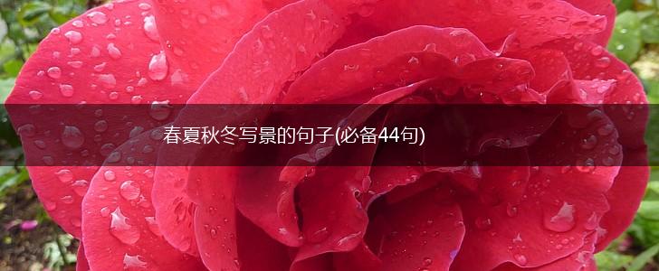 春夏秋冬写景的句子(必备44句),第1张
