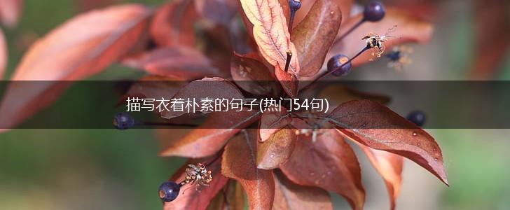 描写衣着朴素的句子(热门54句),第1张