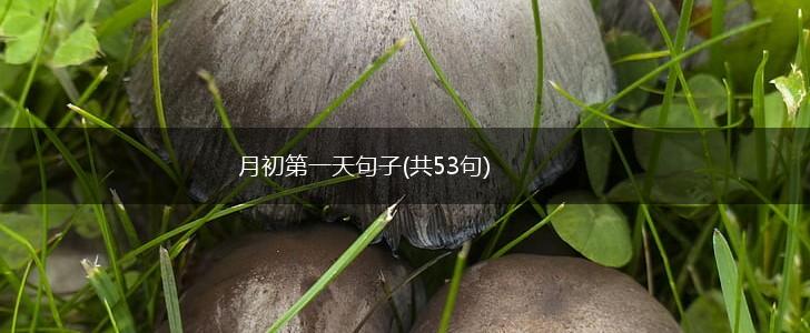 月初第一天句子(共53句),第1张