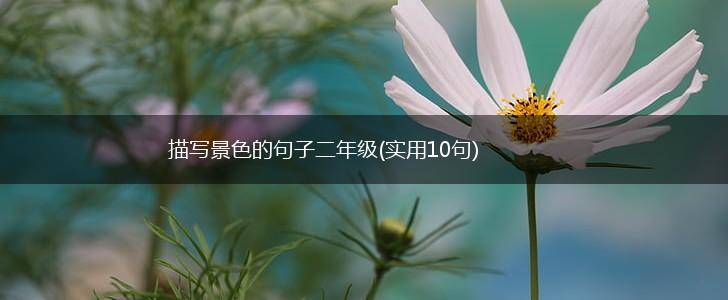 描写景色的句子二年级(实用10句),第1张