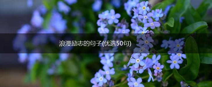 浪漫励志的句子(优选50句),第1张
