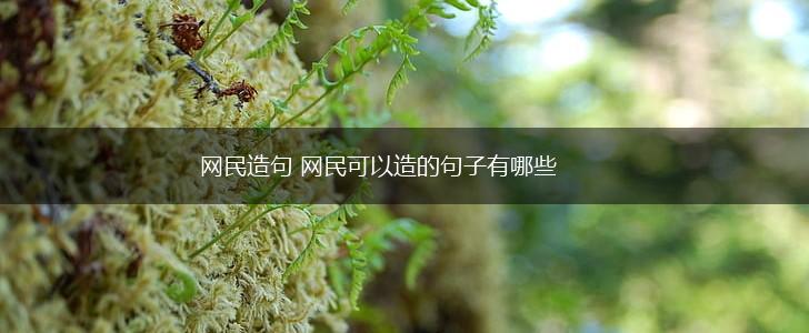 网民造句 网民可以造的句子有哪些,第1张 网民造句 网民可以造的句子有哪些,第1张