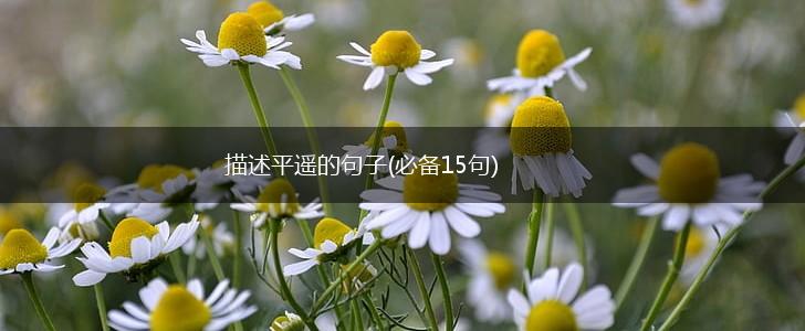 描述平遥的句子(必备15句),第1张