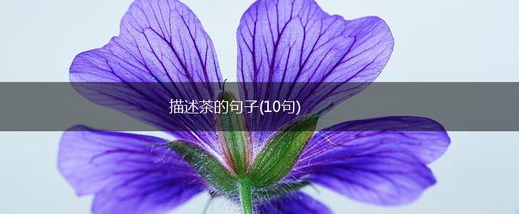 描述茶的句子(10句),第1张