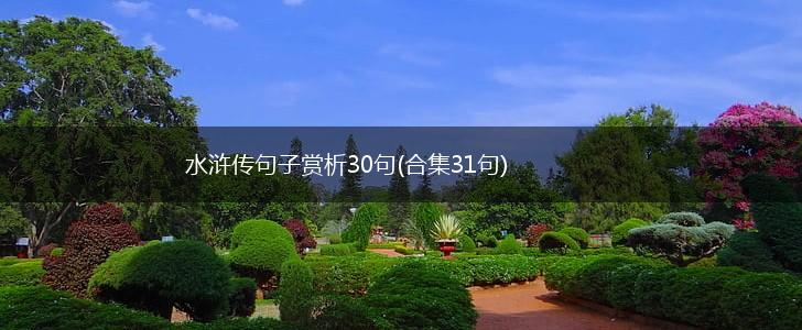 水浒传句子赏析30句(合集31句),第1张