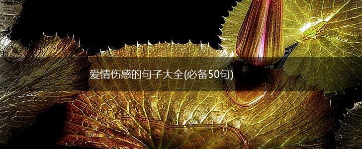 爱情伤感的句子大全(必备50句),第1张
