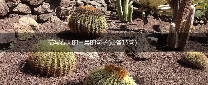描写春天的早晨的句子(必备15句),第1张