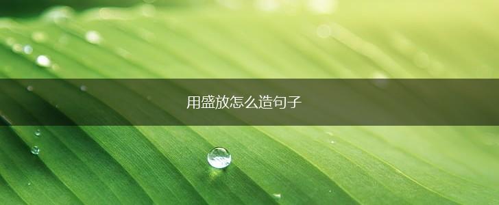 用盛放怎么造句子,第1张