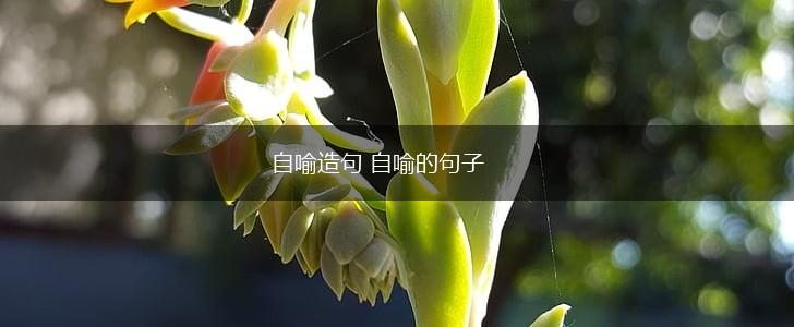 自喻造句 自喻的句子,第1张
