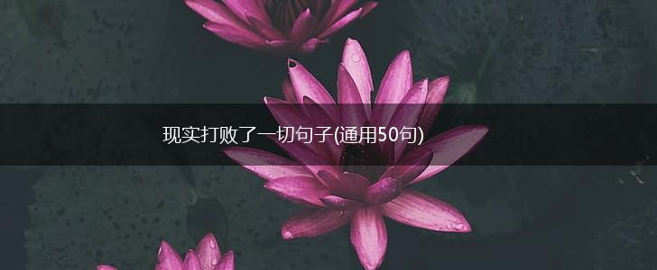 现实打败了一切句子(通用50句),第1张