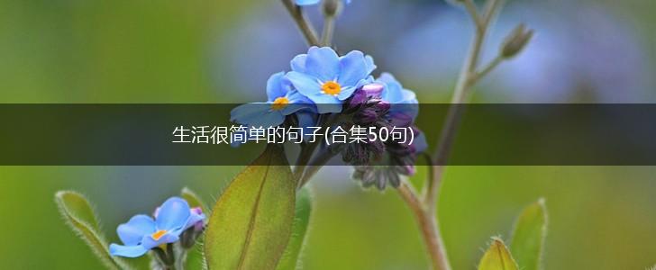 生活很简单的句子(合集50句),第1张