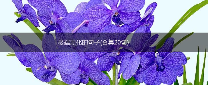 极端黑化的句子(合集20句),第1张