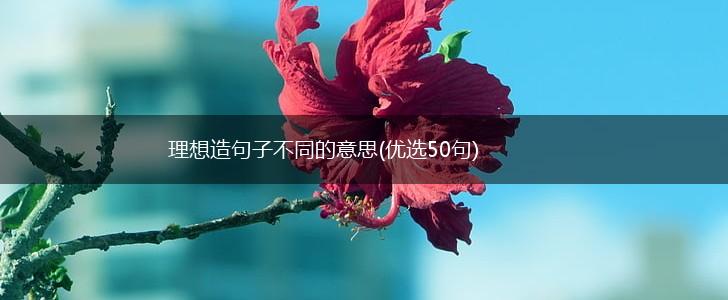 理想造句子不同的意思(优选50句),第1张