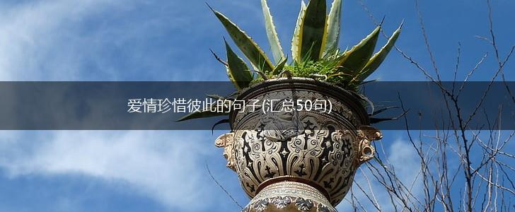 爱情珍惜彼此的句子(汇总50句),第1张