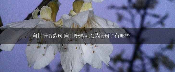 自甘堕落造句 自甘堕落可以造的句子有哪些,第1张 自甘堕落造句 自甘堕落可以造的句子有哪些,第1张