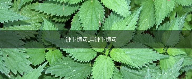 钟下造句,用钟下造句,第1张 钟下造句,用钟下造句,第1张