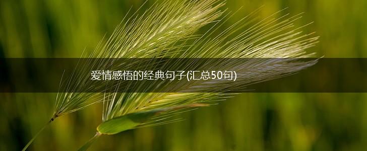 爱情感悟的经典句子(汇总50句),第1张