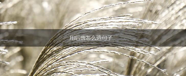 用后唐怎么造句子,第1张 用后唐怎么造句子,第1张