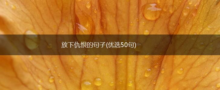 放下仇恨的句子(优选50句),第1张
