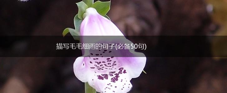 描写毛毛细雨的句子(必备50句),第1张