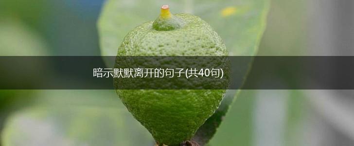 暗示默默离开的句子(共40句),第1张