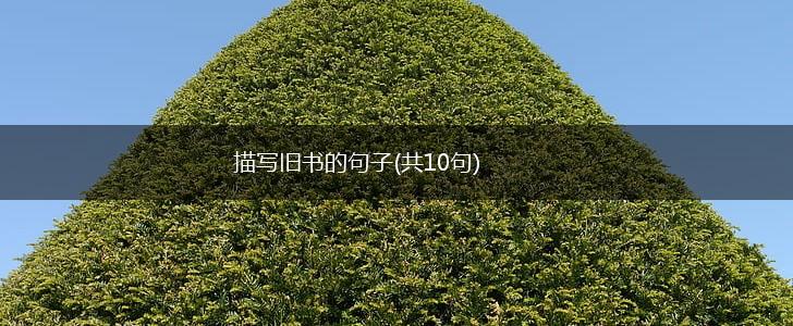 描写旧书的句子(共10句),第1张