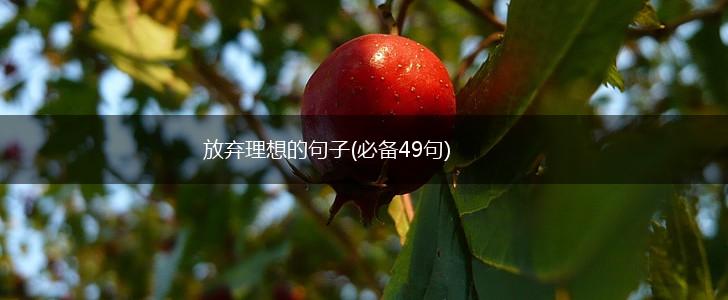 放弃理想的句子(必备49句),第1张