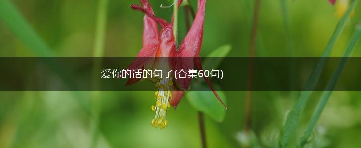 爱你的话的句子(合集60句),第1张