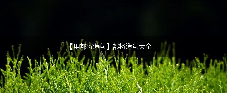 【用都将造句】都将造句大全,第1张 【用都将造句】都将造句大全,第1张
