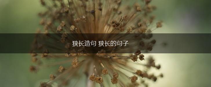 狭长造句 狭长的句子,第1张 狭长造句 狭长的句子,第1张