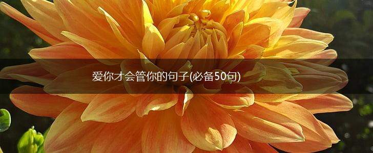 爱你才会管你的句子(必备50句),第1张