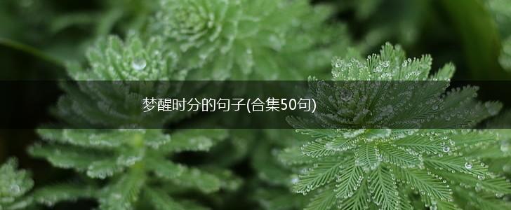梦醒时分的句子(合集50句),第1张