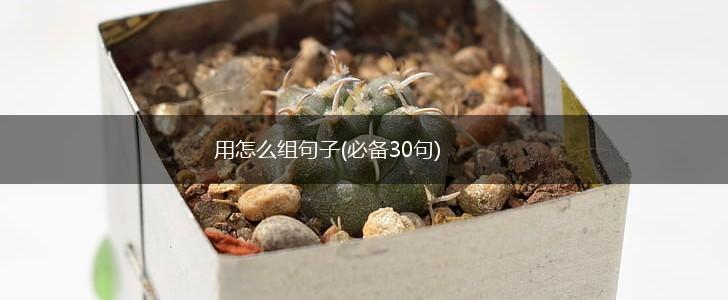 用怎么组句子(必备30句),第1张