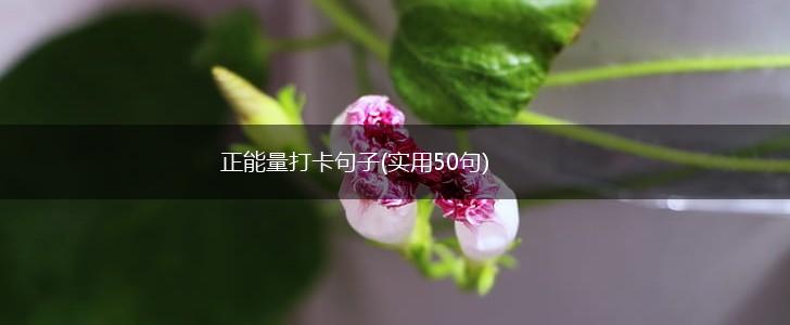 正能量打卡句子(实用50句),第1张