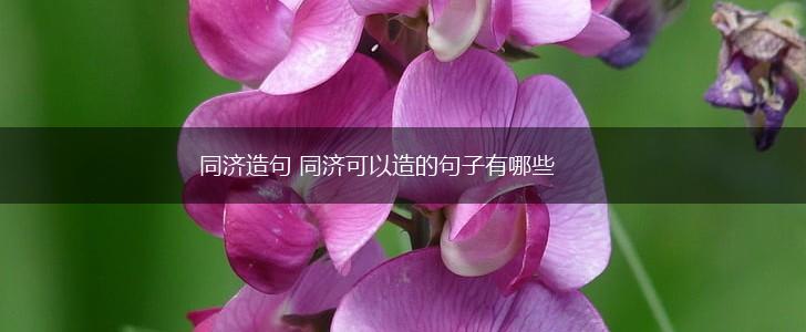 同济造句 同济可以造的句子有哪些,第1张