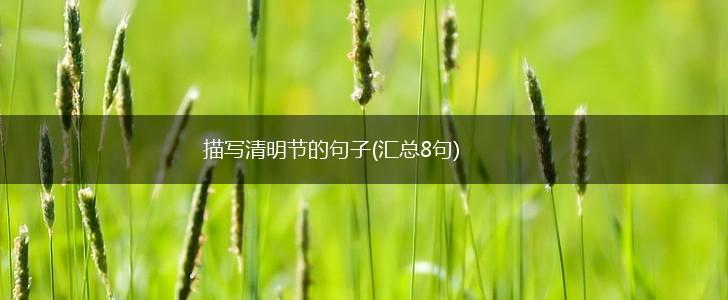 描写清明节的句子(汇总8句),第1张