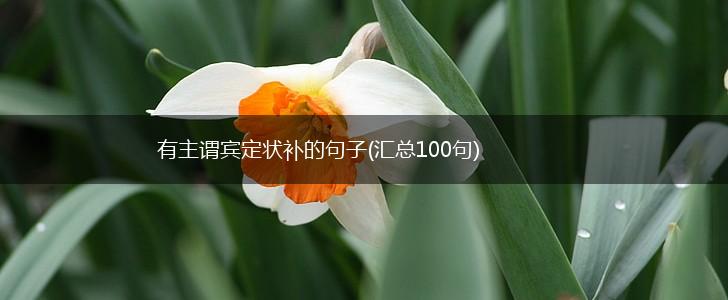 有主谓宾定状补的句子(汇总100句),第1张