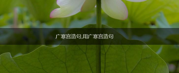 广寒宫造句,用广寒宫造句,第1张 广寒宫造句,用广寒宫造句,第1张
