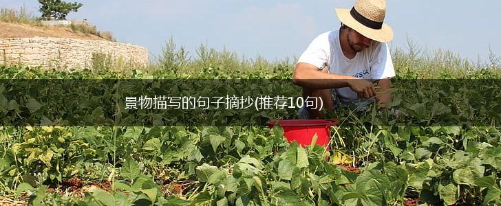景物描写的句子摘抄(推荐10句),第1张