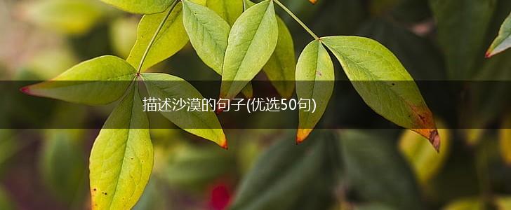 描述沙漠的句子(优选50句),第1张