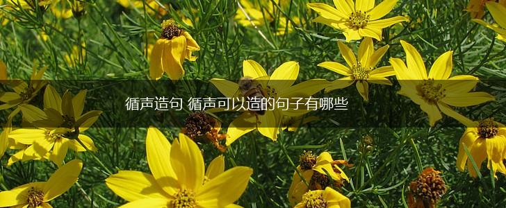 循声造句 循声可以造的句子有哪些,第1张 循声造句 循声可以造的句子有哪些,第1张